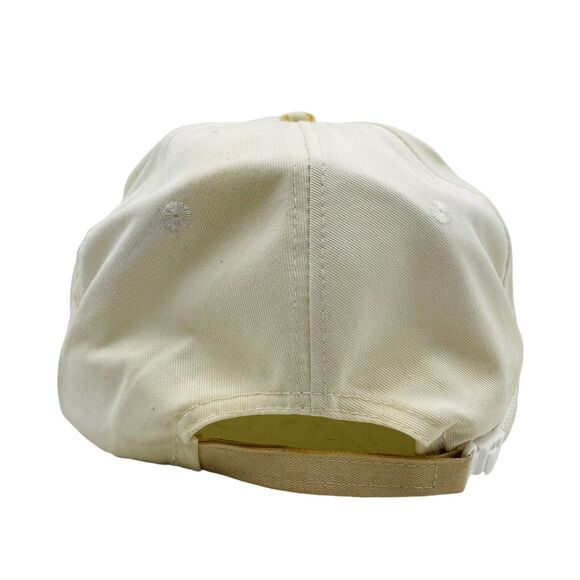 Vintage Georgia Pacific GP Chemical Arkansas Razorbacks Hat Crossett - Picture 6 of 8